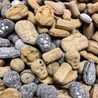 Schlimmer wirds nimmer! Schlimmer wirds nimmer!