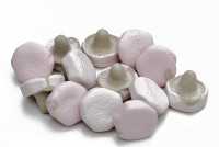 Veilchen-Lakritz Pilze Veilchen-Lakritz Pilze